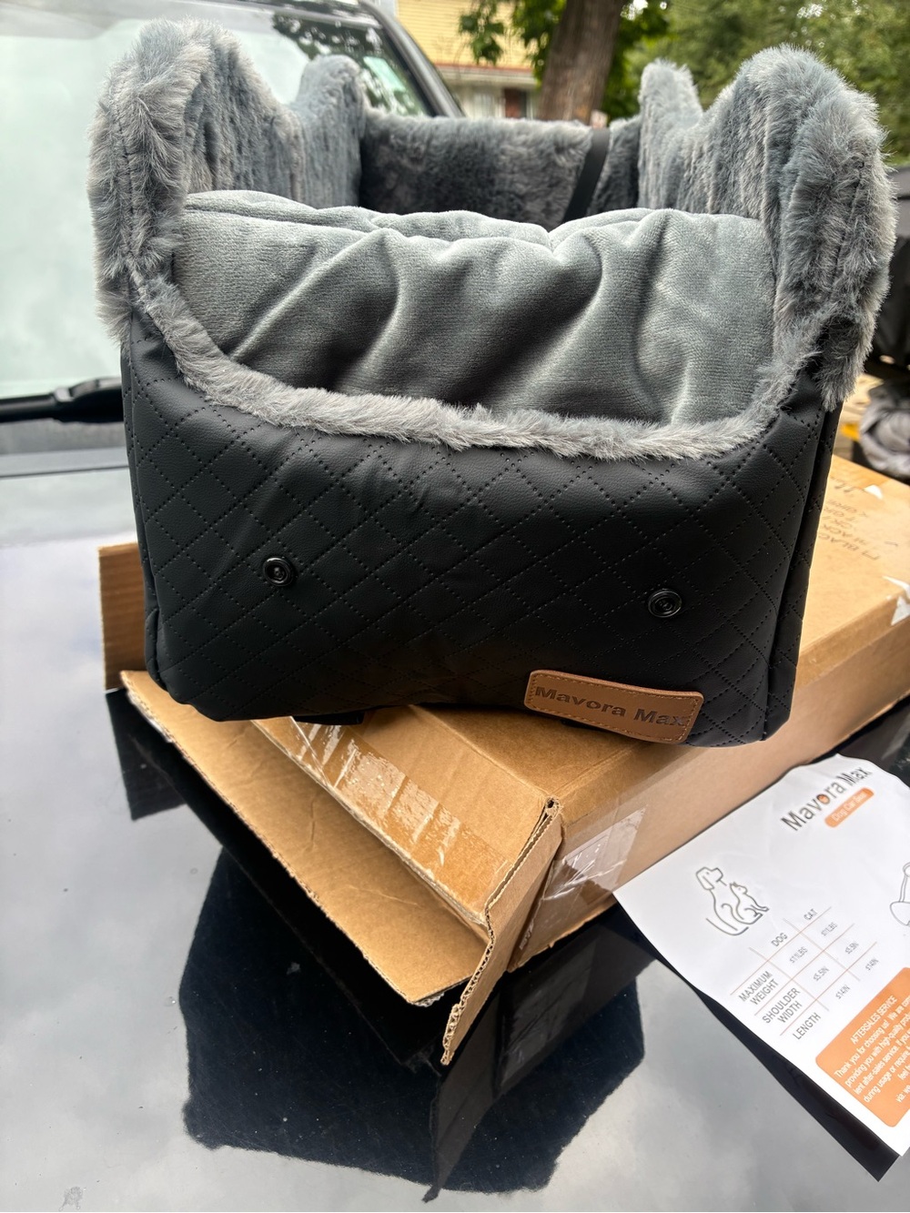 Pet car seat